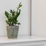Munn 10